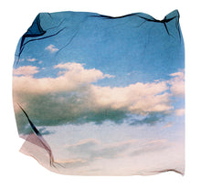 Load image into Gallery viewer, Polariod Emulsion LIfts Workshop- instructed by Liz Potter
